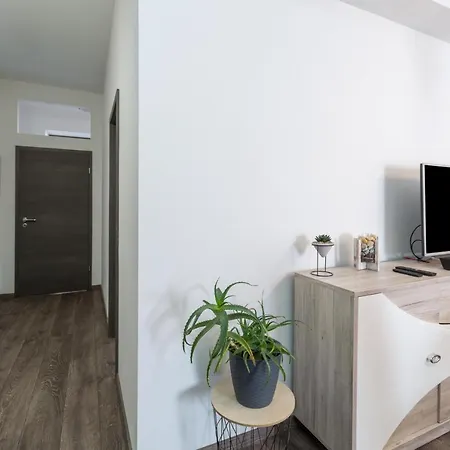 Apartment Caterina Rovigno Esterno foto